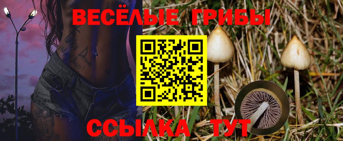 Рязань  Псилоцибиновые грибы ЛСД  Галлюциногенные грибы Magic Shrooms  Вход с VPN 
